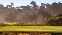 Fairway view of golf course in Pebble Beach California bathed in sunlight