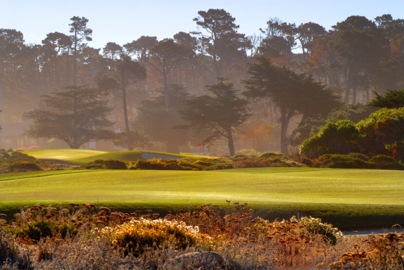 Fairway view of golf course in Pebble Beach California bathed in sunlight