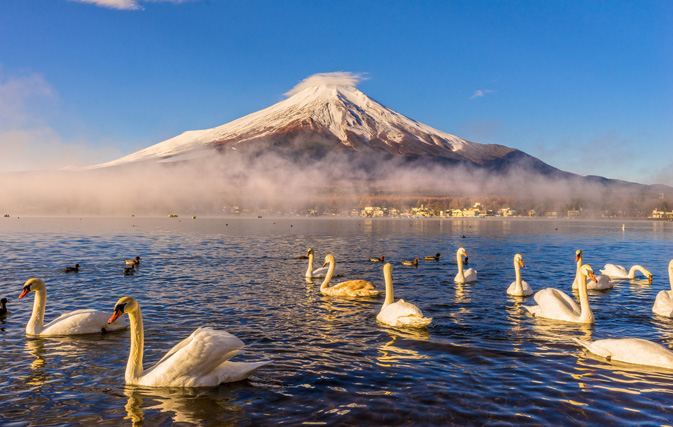 Japan tourism boom a welcome boost to economy, but awkward for country unused to foreign ways