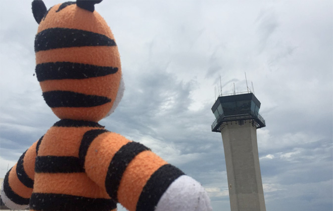 6 year old's lost stuffed tiger goes on an adventure at Tampa airport
