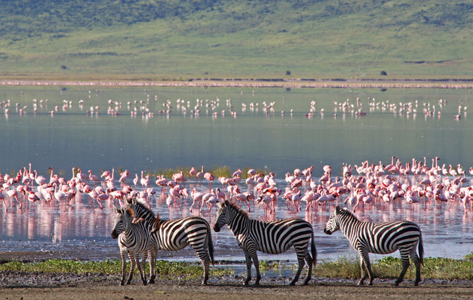 ‘Tantalizing Tanzania’ by Tourcan Vacations on sale for $2,695 including air