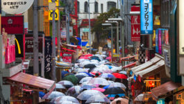 Heavy rains in Japan trigger flooding and landslides