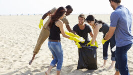 8,000 volunteers clean up Texas beaches amid red tide concerns