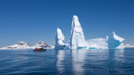 Intrepid Group launches exclusive Antarctica deal with 50% off