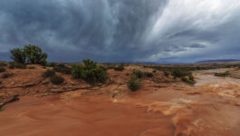 Death toll rises to 20 from flash flooding in Zion National Park