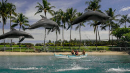 Hilton Waikoloa Village Family Vacation