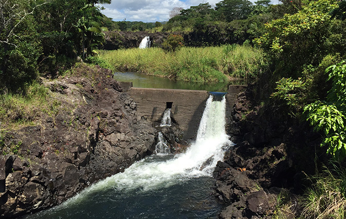 Hawaii Forest and Trail – Waterfall Tour