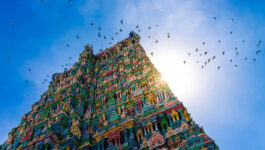 India e-visas, new flights open doors for custom adventure packages