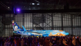 [VIDEO] WestJet unveils a plane so cool, it's frozen