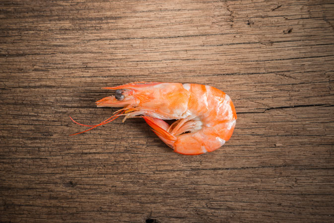 The importance of getting out and about (and it’s not about the free shrimp)