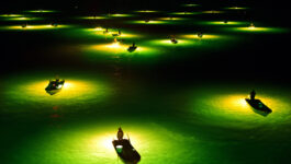 Night Fishermen, Japan