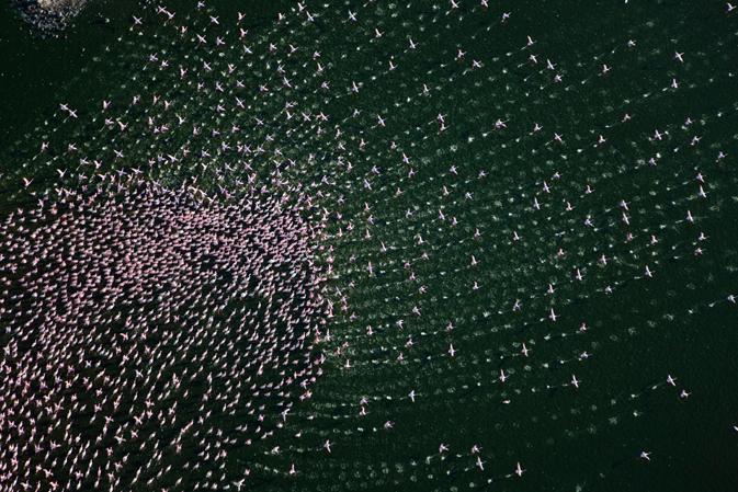 Lake Bogoria National Park, Kenya