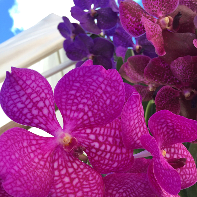 10 GreenMarket Fresh Flowers