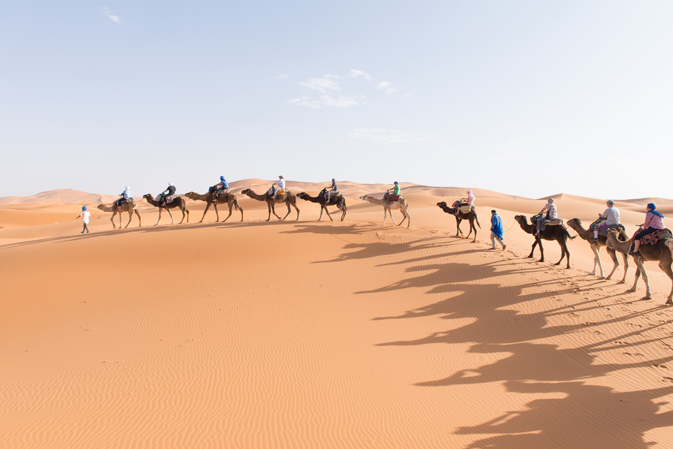 Camel train into the Sahara to camp overnight