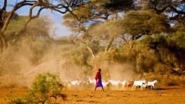 Kenya unveils incentives to boost tourism