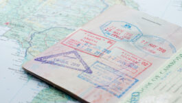 What is a World Passport?