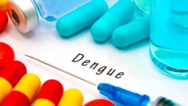 Hawaii's Big Island declares State of Emergency for dengue