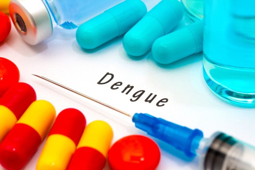 Hawaii's Big Island declares State of Emergency for dengue