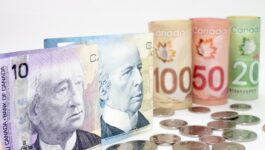 Weakened loonie putting squeeze on winter travel plans