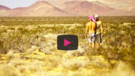 The Great American Road Trip - Desert Oasis