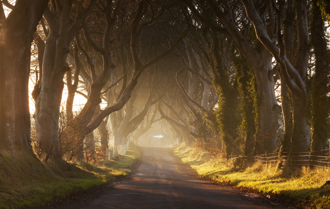 Ireland thanks the travel trade for 190,000+ Canadians in 2015