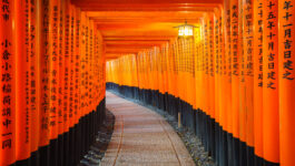 Specially priced 6-day Japan trip with Super Value Tours