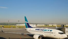 WestJet flew “record number of guests” in February according to traffic results