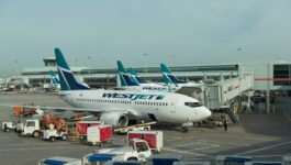 WestJet ground two employees in wake of sex assault allegation