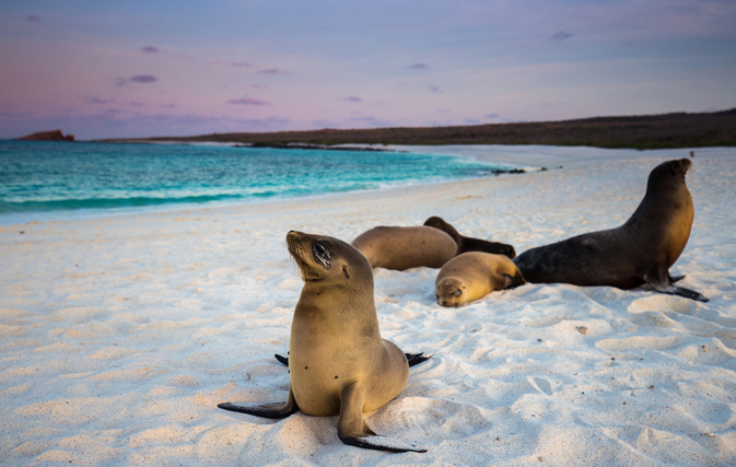 Celebrity Cruises to expand Galapagos cruising