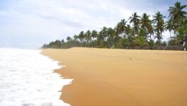 Attack on beach resort in Ivory Coast send tourists fleeing
