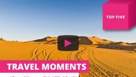 Contiki CEO’s Top 5 travel moments – Travel Videos