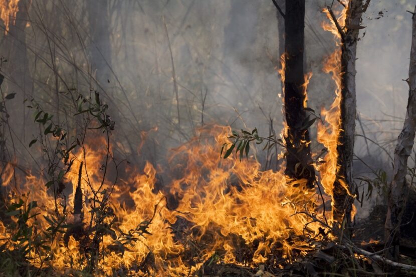 Fort McMurray wildfire evacuation, airport delays and cancellations