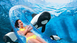 SeaWorld Parks introduces Canadian Resident Offer this summer
