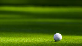 Golf, Networking, Dinner and Fun - Skal Toronto Announces Golf Tournament