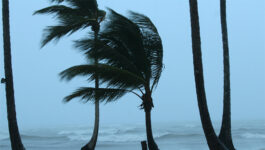 Tropical Storm Colin heading towards Florida, flooding expected