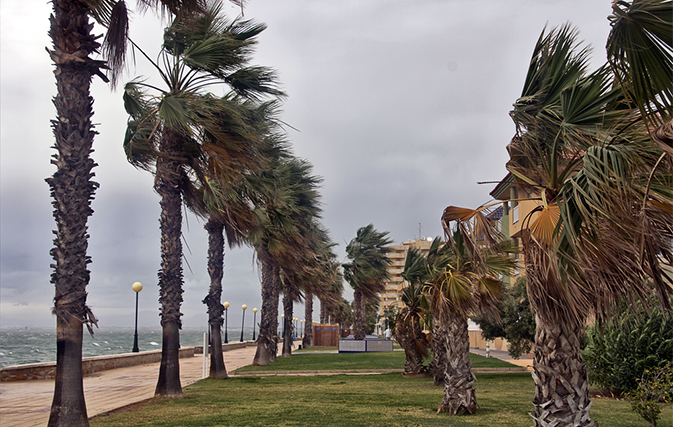 Tropical Storm Colin hit Florida and heads east