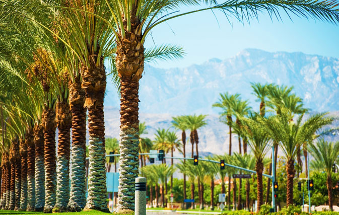 The nine lures of Palm Springs
