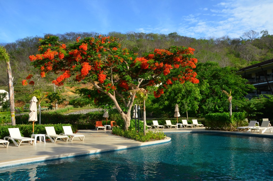 10 reasons to visit Costa Rica with AM Resorts