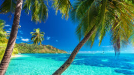 Fly to paradise with Air Tahiti Nui’s super sale promo