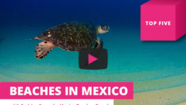 The Top 5 Beaches in Mexico