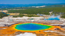 ‘America Wild’ now at Ontario Science Centre; Yellowstone on track for record year