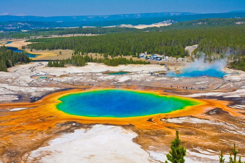 ‘America Wild’ now at Ontario Science Centre; Yellowstone on track for record year