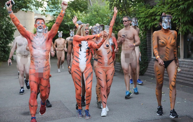 Mob of naked tigers takes over London Zoo