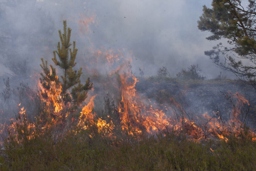 Wildfires burn in Portugal, southern France