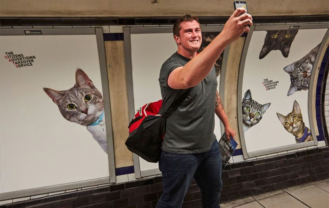 Adorable cats take over London tube station