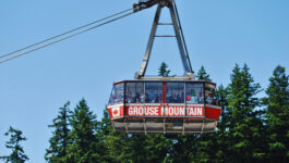 Grouse Mountain in B.C. is officially on the market