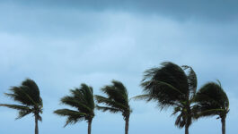 Hurricane Newton hits Los Cabos' resorts