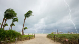 Storm wipes out Florida sand dunes crucial for tourism