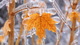 Lots of storms, frequent snow for eastern Canada, B.C. this winter, says AccuWeather