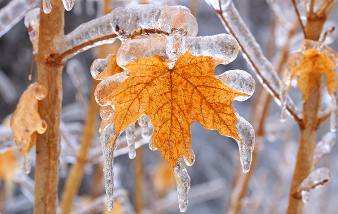 Lots of storms, frequent snow for eastern Canada, B.C. this winter, says AccuWeather